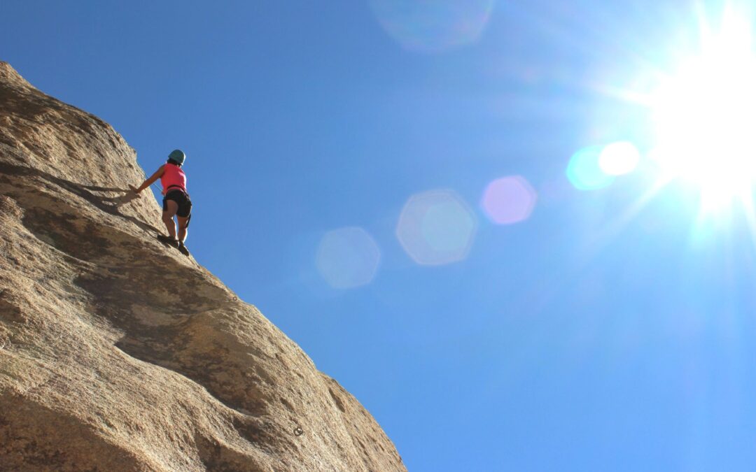 Comment faire de la Raison d’Etre d’entreprise un levier de performance ?